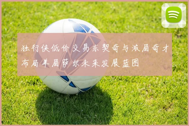 独行侠低价交易东契奇与浓眉奇才布局羊眉萨尔未来发展蓝图