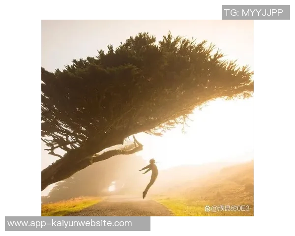 重要的决定终究会到来我们需要勇敢面对和接受改变的时刻