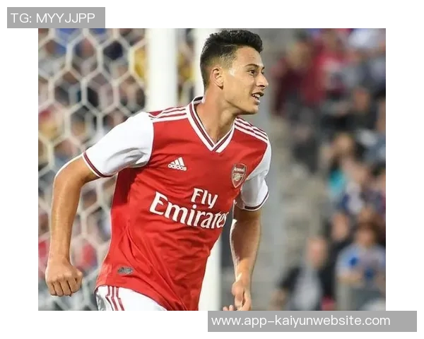 谢菲联主帅确认华裔新星陈达毅因伤缺阵四到六周 谢菲联主帅确认华裔新星陈达毅因伤缺阵四到六周