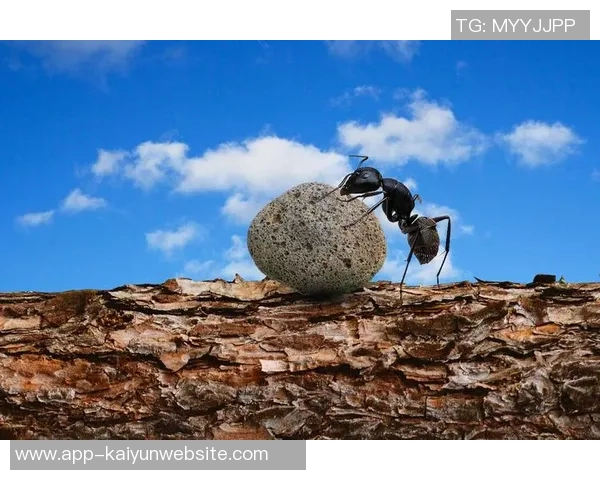 马克西：全力以赴只为胜利我希望每个人都能感受到我的决心与热情